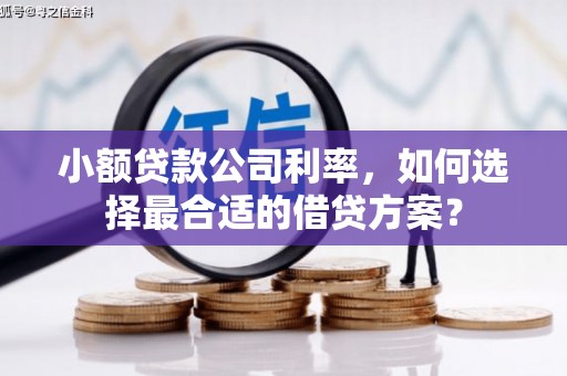 清城小额贷款公司利率，如何选择最合适的借贷方案？