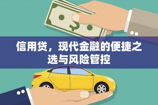 清城信用贷，现代金融的便捷之选与风险管控
