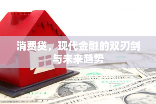 清城消费贷，现代金融的双刃剑与未来趋势