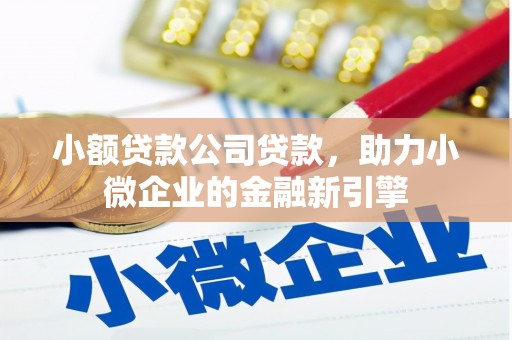 清城小额贷款公司贷款，助力小微企业的金融新引擎