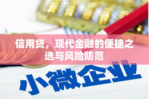 清城信用贷，现代金融的便捷之选与风险防范