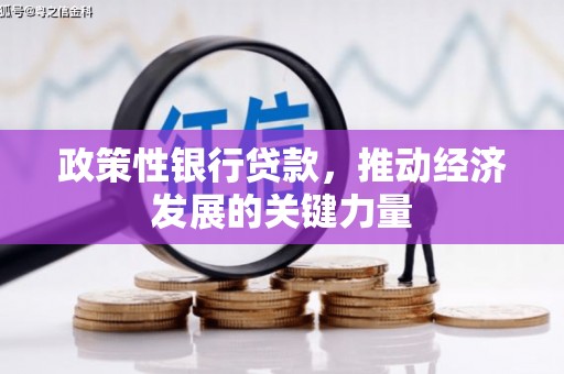 清城政策性银行贷款，推动经济发展的关键力量