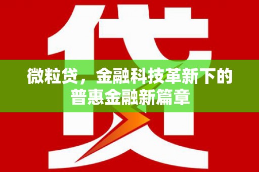 清城微粒贷，金融科技革新下的普惠金融新篇章