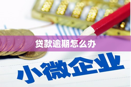 清城贷款逾期怎么办