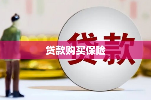 清城贷款购买保险