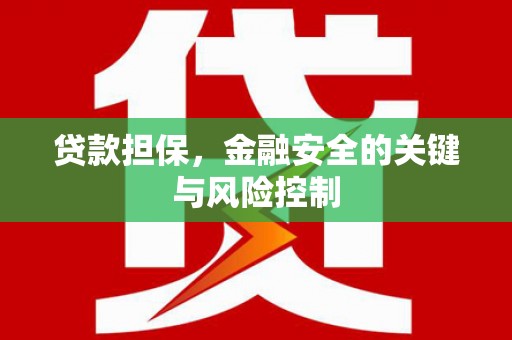 清城贷款担保，金融安全的关键与风险控制