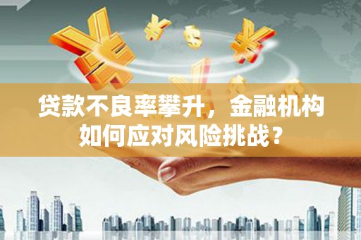 清城贷款不良率攀升，金融机构如何应对风险挑战？