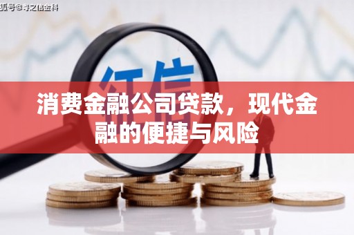 清城消费金融公司贷款，现代金融的便捷与风险