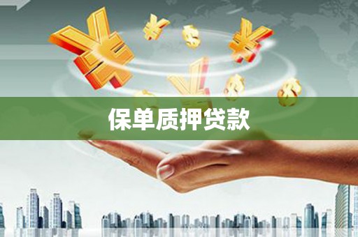 清城保单质押贷款