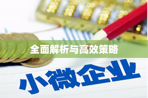 清城全面解析与高效策略