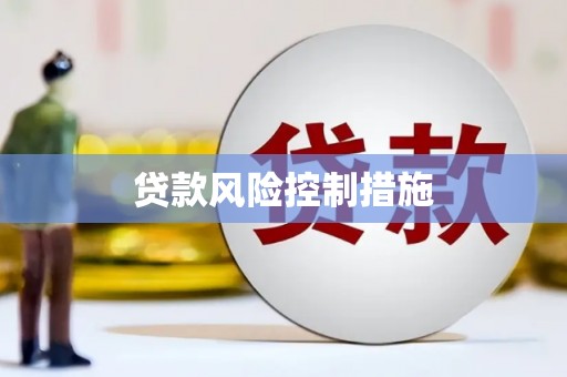 清城贷款风险控制措施