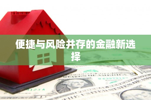 清城便捷与风险并存的金融新选择