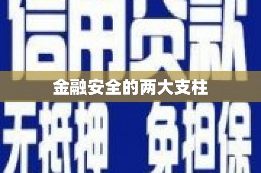 清城金融安全的两大支柱