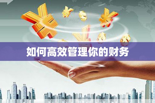 清城如何高效管理你的财务