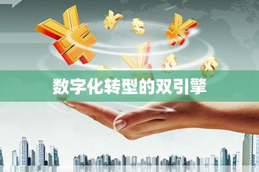 清城数字化转型的双引擎
