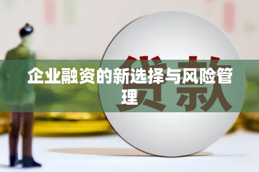 清城企业融资的新选择与风险管理