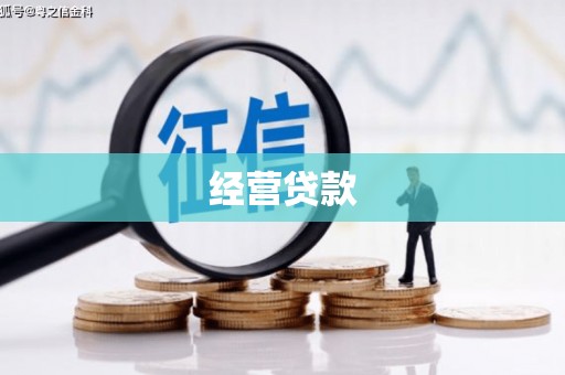 清城经营贷款