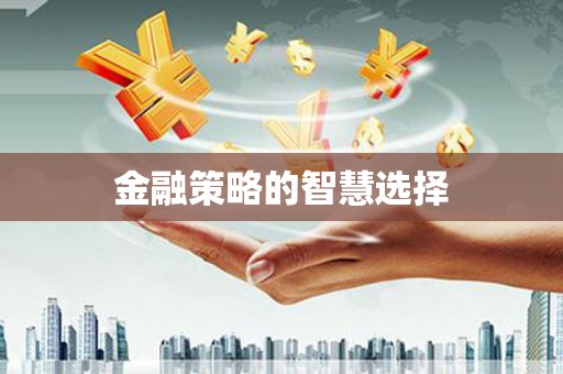 清城金融策略的智慧选择