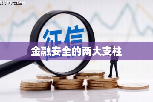 清城金融安全的两大支柱