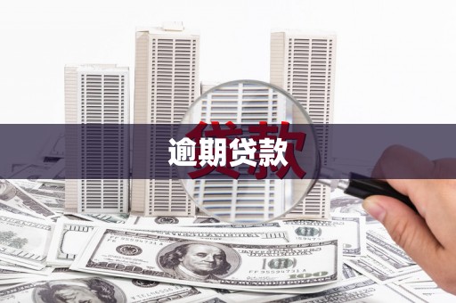 清城逾期贷款
