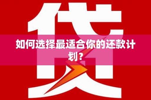 清城如何选择最适合你的还款计划？