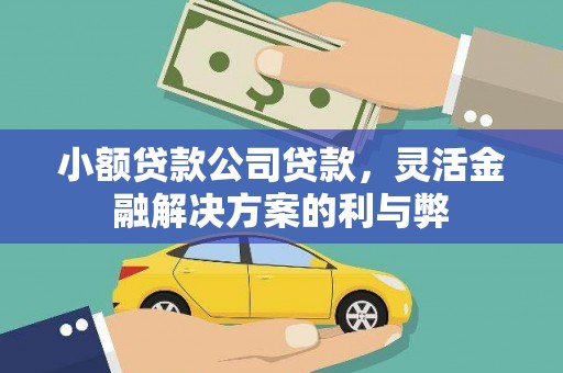 清城小额贷款公司贷款，灵活金融解决方案的利与弊